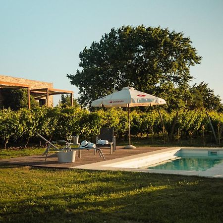 Pizzorno Lodge & Wine Progreso Exterior foto